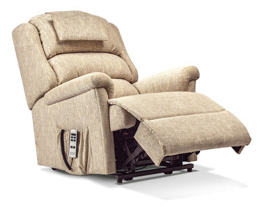 Royale 2-motor Electric Riser Recliner