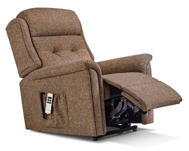 Standard 2-motor Electric Riser Recliner