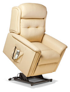 Standard 1-motor Electric Riser Recliner