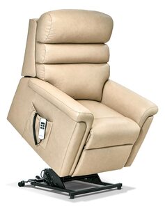 Small 2-motor Electric Riser Recliner