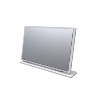 AVN047 LargeMirror