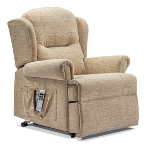 Petite 2-motor Electric Riser Recliner
