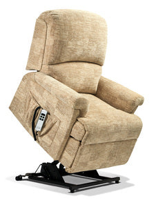 Petite 2-motor Electric Riser Recliner
